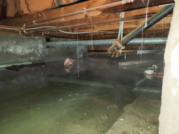 Best Fire Damage Restoration  in Anna, IL