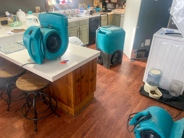 Best 24/7 water damage repair  in Anna, IL