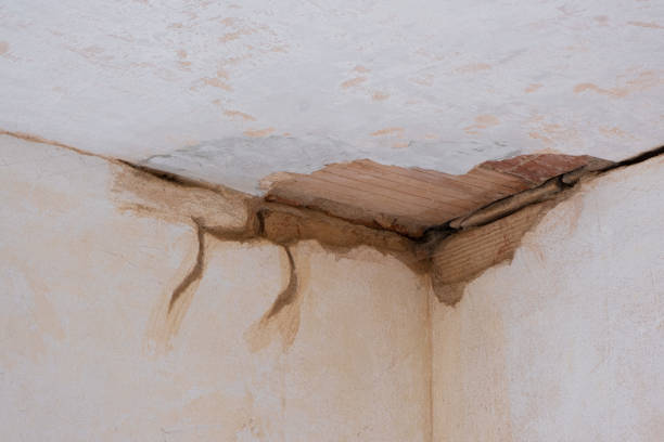 Best Flood damage cleanup  in Anna, IL