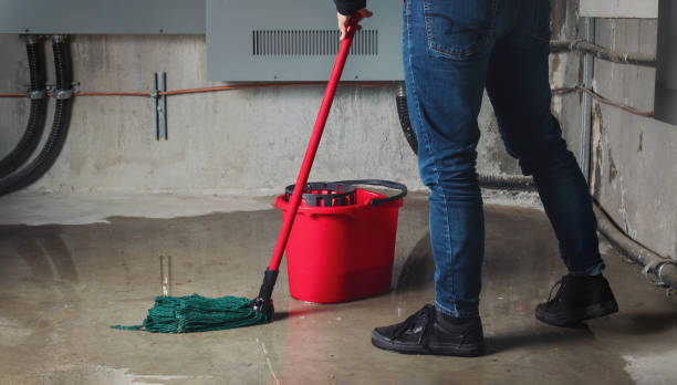 Best Emergency water extraction  in Anna, IL