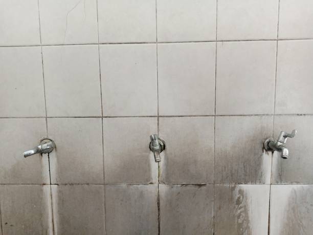 Best Mold removal after water damage  in Anna, IL