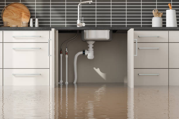 Best Flooded house restoration  in Anna, IL