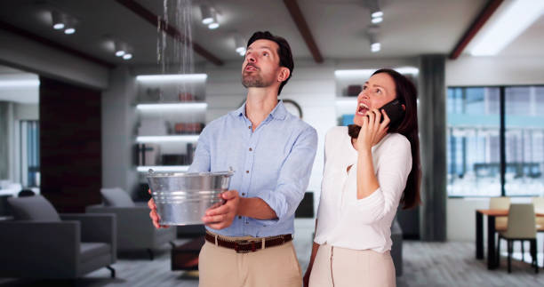 Best Ceiling water damage repair  in Anna, IL